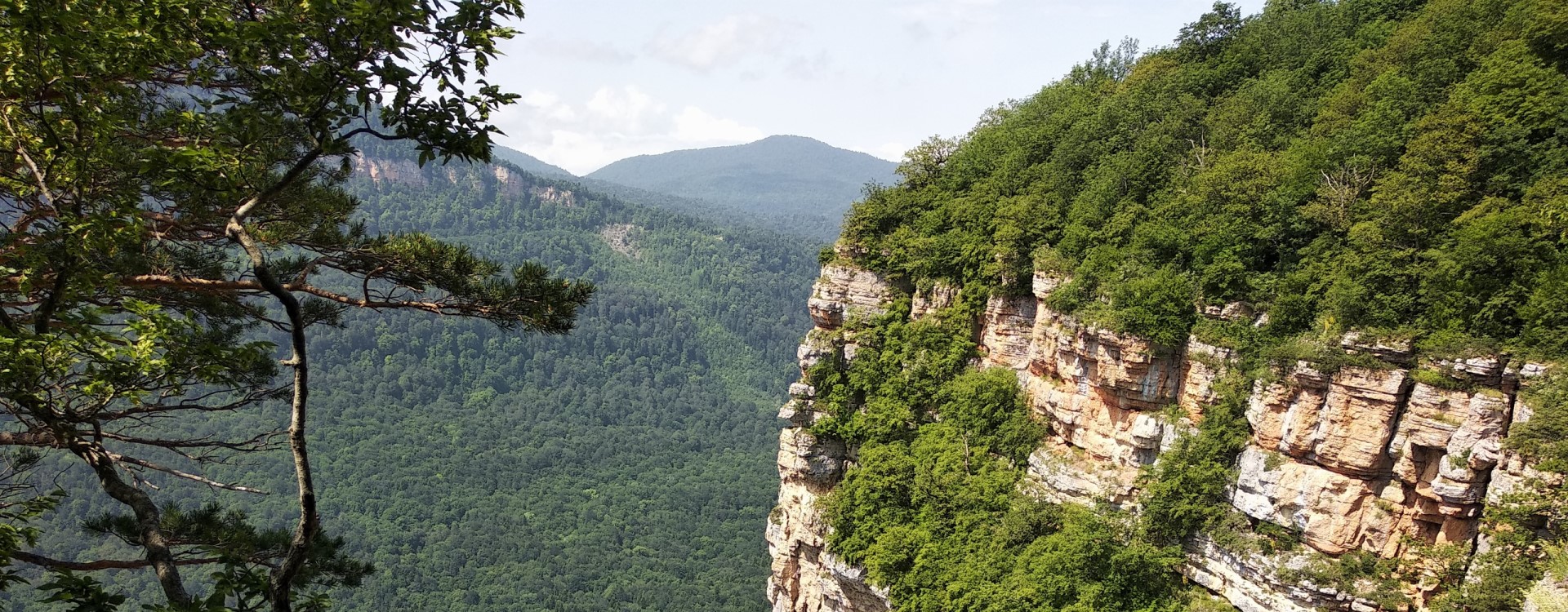 Мезмай — лес диких яблок